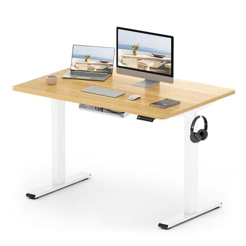 FLEXISPOT E1 Plus Electric Standing Desk Height Adjustable for Home Office