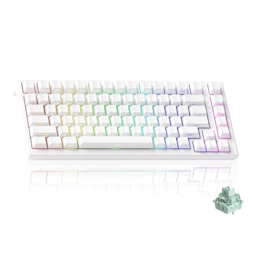 Akko TAC75 HE Gaming Keyboard Wired 75% Rapid Trigger Magnetic Switch