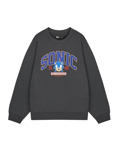 Sonic The Hedgehog Men's Grey Sweatshirt | World's Fastest Sonic Graphic Sweater | Classic Video Game Apparel | Retro Gamer Jumper | Official Sega Merchandise for Men