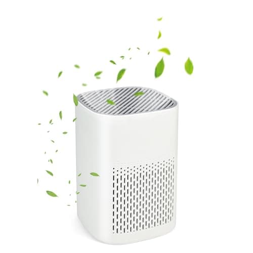 HEPA Air Purifier for bedroom - 3 Stage Small Air Purifier with H13 Filter for Smoke Dust Pet Dander Odors, USB Powered Quit Air Cleaner for Home Office & Baby Room