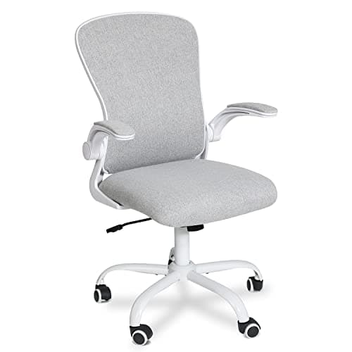 Fullwatt Office Desk Chair, Flip-Up Armrest Ergonomic Lumbar Support Grey