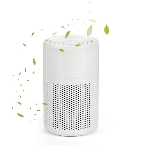 HEPA Air Purifier for bedroom - 3 Stage Small Air Purifier with H13 Filter for Smoke Dust Pet Dander Odors, USB Powered Quit Air Cleaner for Home Office & Baby Room