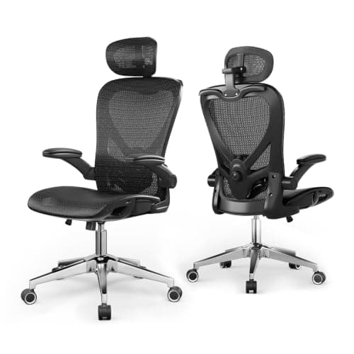 naspaluro Ergonomic Office Chair Adjustable Lumbar Support Heavy Duty 150kg