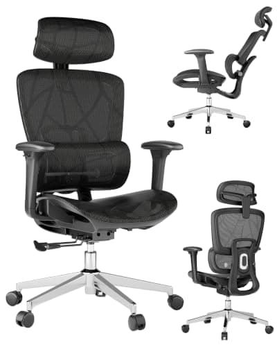 Ergonomic Office Chair with 3D Lumbar Support & Adjustable Headrest