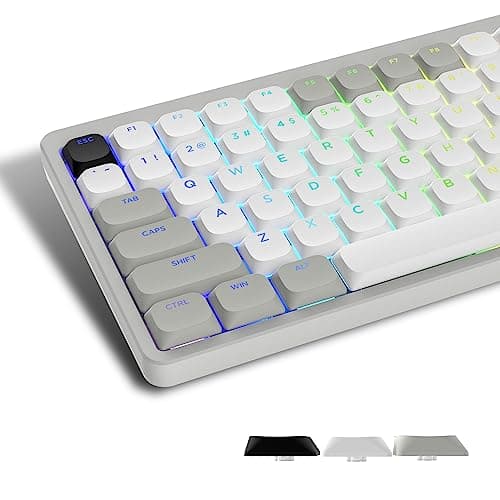 Womier Low Profile Keycaps - Shine Through, 75% PBT Keycaps, Full Size for 60% 65% 75% 80% 100% Mechanical Keyboards, Grey/White