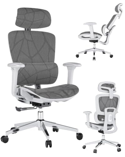 Ergonomic Office Chair with 3D Lumbar Support & Adjustable Headrest