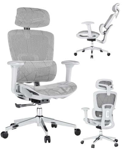 Ergonomic Office Chair with 3D Lumbar Support & Adjustable Headrest