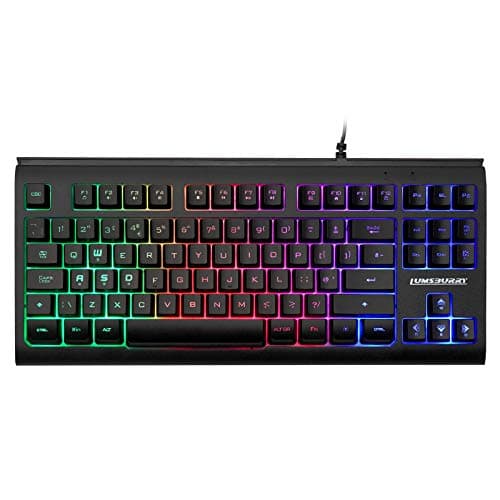 Lumsburry Computer Keyboard, 87 Keys Compact Wired USB Keyboard