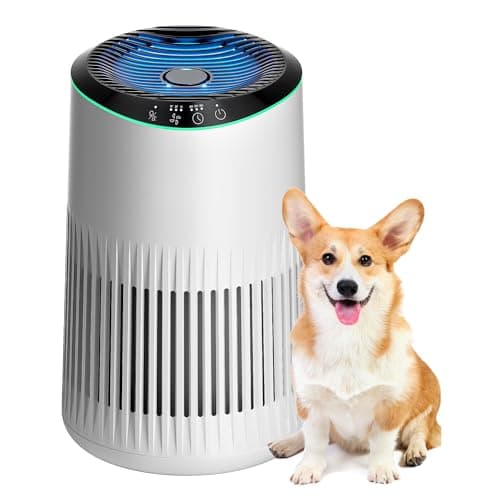 MORENTO Air Purifier Bedroom Office,Smoke Pet Dander Odor,MR2566,1 Pack