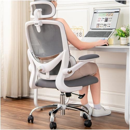 TONFARY Ergonomic Mesh Office Chair with Adjustable Lumbar, Space-saving
