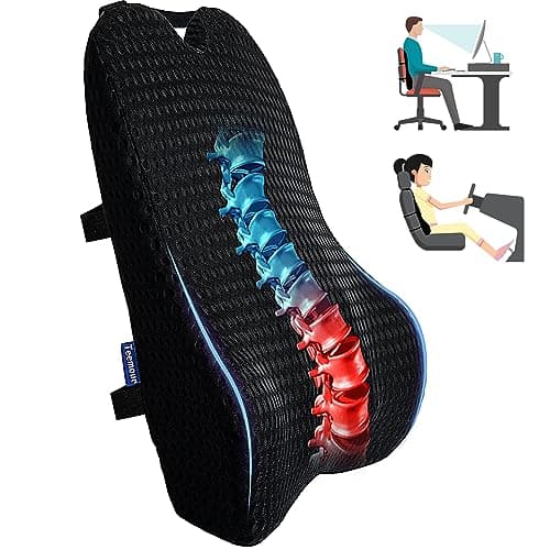 Teemour Lumbar Support Pillow for Office Chair Car Lumbar Pillow Memory Foam Car Back Support for Driving Back Pillow Design for Gaming Chair, Couch,1 Pack