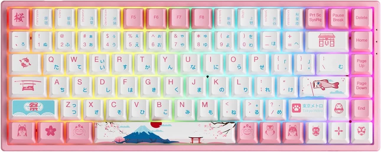 Akko 3084B RGB Mechanical Gaming Keyboard, Multi Modes (BT5.0/2.4Ghz/Type C) Wireless Keyboard with 5 Pin Hot Swap, PBT Dye-Sub OEM Keycaps, Programmable Macros (Tokyo, Tactile Switch)