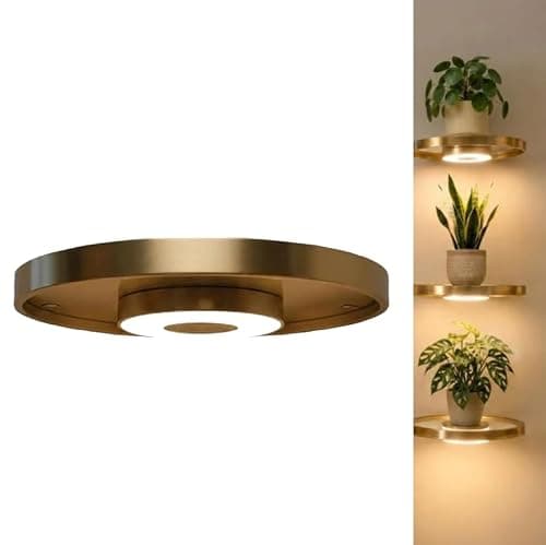 Floating Metal Wall Shelf with Built-in RGB LED Ambient Light, Luxury Gold Invisible Mount Display Rack Space-Saving Plant Decor Organizer for Bedroom Living Room