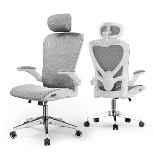 naspaluro Ergonomic Office Chair Adjustable Lumbar Support Heavy Duty 150kg