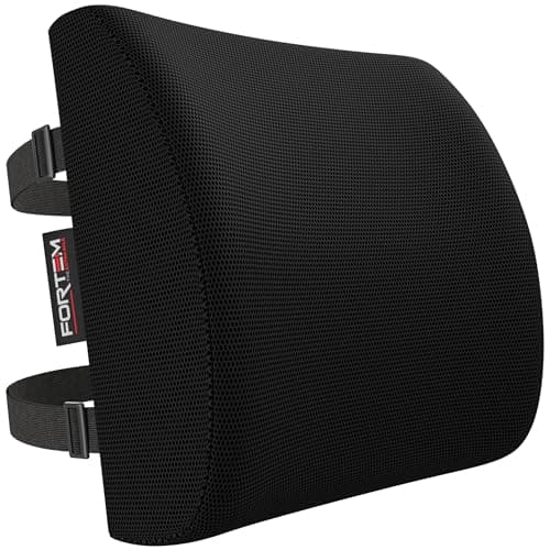 FORTEM Lumbar Support Cushion For Office Chair Back Support Pillow For Car