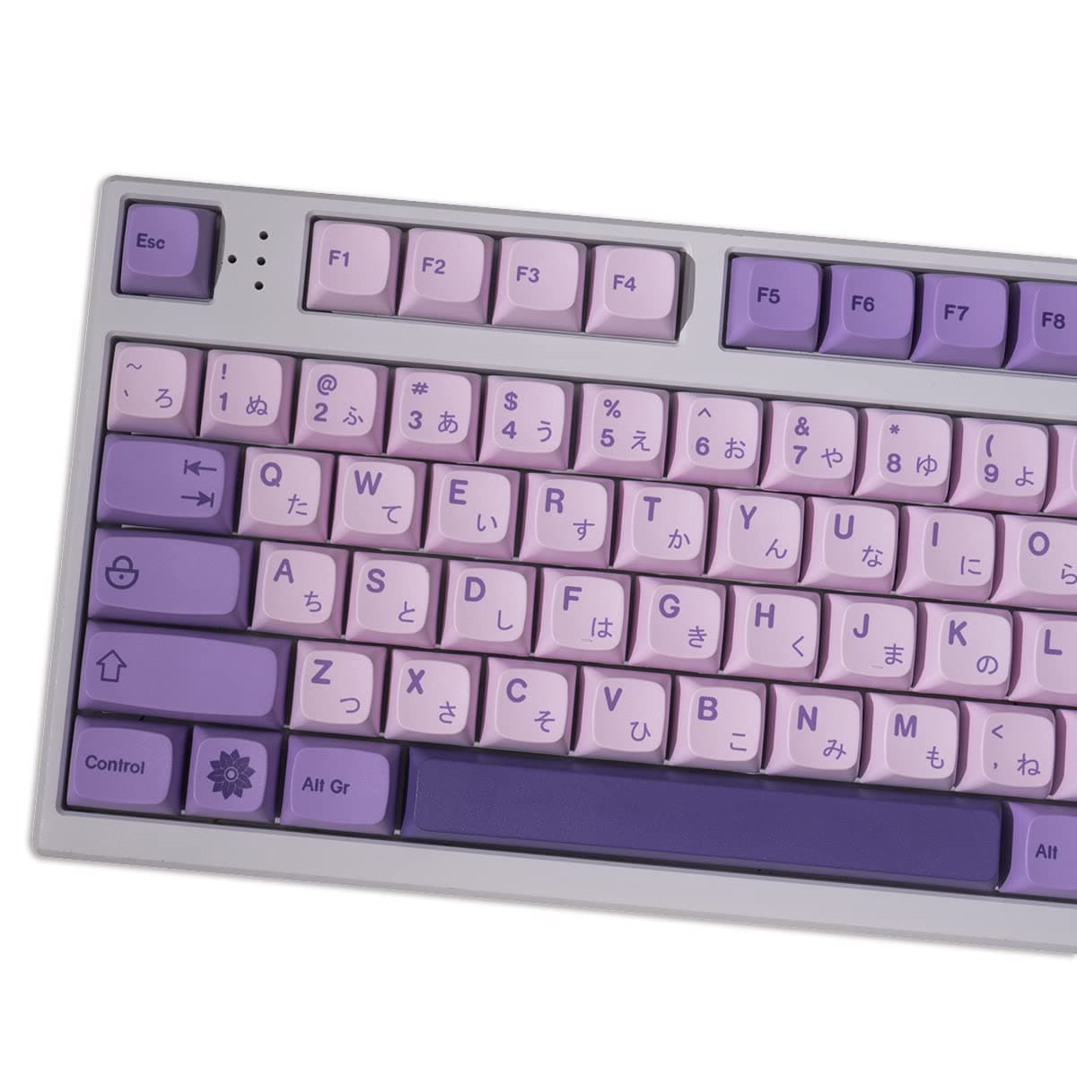 mintcaps PBT Purple Japanese Keycaps Set 134 Keys XDA Profile Custom Cute Dye-Sub Keyboard Keycaps for 60% 65% 70% 75% 100% Cherry Gateron MX Switches Mechanical Keyboards